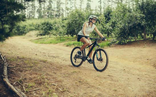 Bicycle ŠKODA MTB LADY